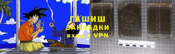 ГАЛЛЮЦИНОГЕННЫЕ ГРИБЫ Гусев