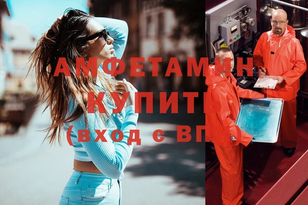 ГАЛЛЮЦИНОГЕННЫЕ ГРИБЫ Гусев