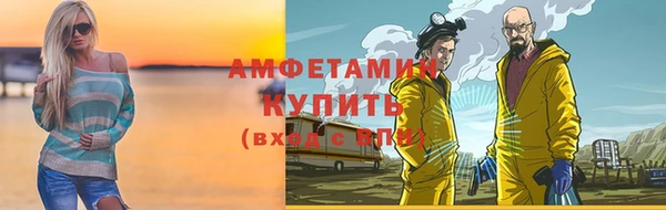 ГАЛЛЮЦИНОГЕННЫЕ ГРИБЫ Гусев