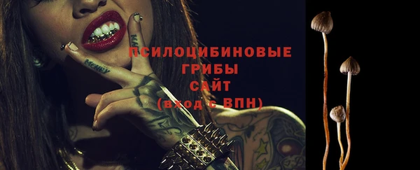ГАЛЛЮЦИНОГЕННЫЕ ГРИБЫ Гусев