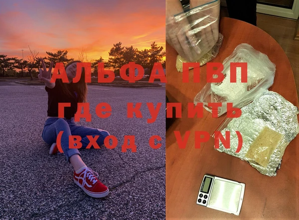 ГАЛЛЮЦИНОГЕННЫЕ ГРИБЫ Гусев