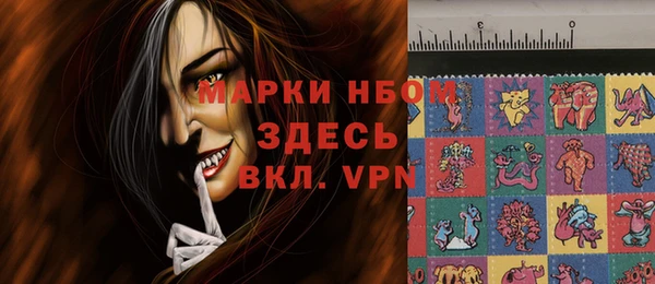 ГАЛЛЮЦИНОГЕННЫЕ ГРИБЫ Гусев