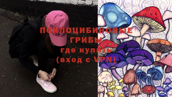 ГАЛЛЮЦИНОГЕННЫЕ ГРИБЫ Гусев
