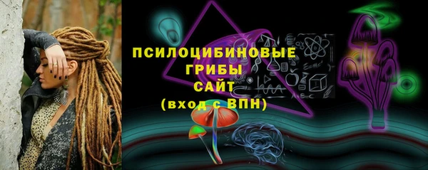 не бодяженный Гусь-Хрустальный