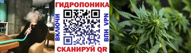 Шишки марихуана THC 21%  Купить закладки  Нефтекумск 